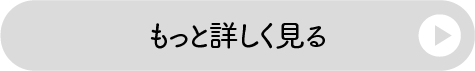 もっと詳しく見る