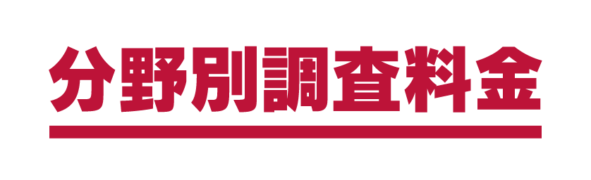 分野別調査料金